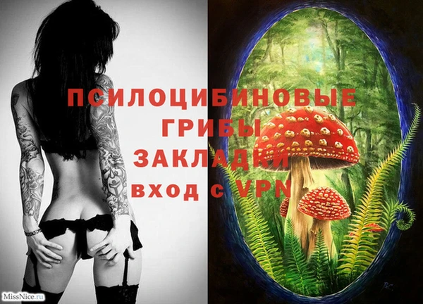 ALPHA PVP Аркадак